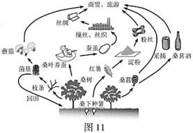 考题材料