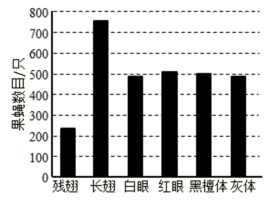 试题题库